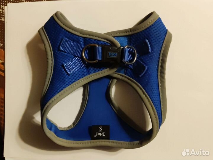 Шлейка для маленькой собаки