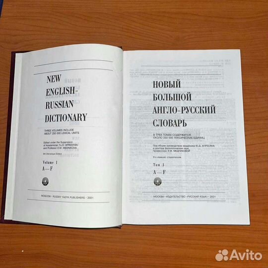 Большой англо-русский словарь