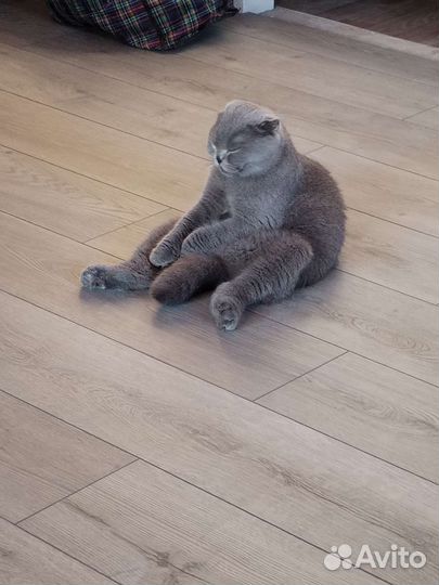 Установка дверей