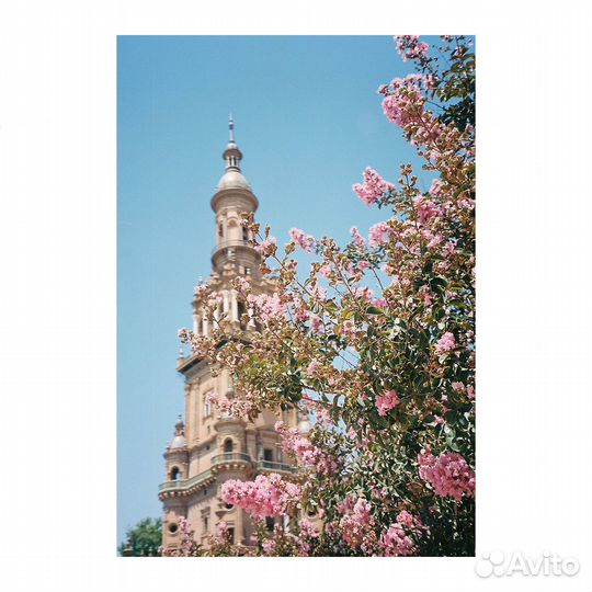 Плёночный фотоаппарат Minolta Zoom 130C