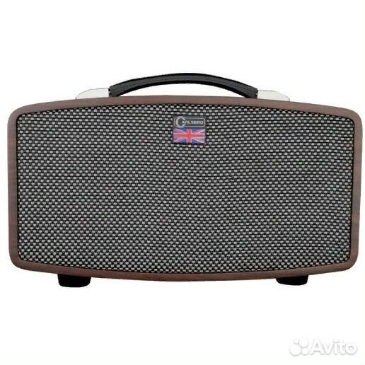 Carlsbro Stingray D5 - Цифровой гитарный усилитель