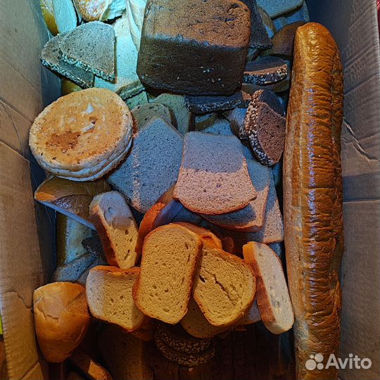 Хлеб на корм животным