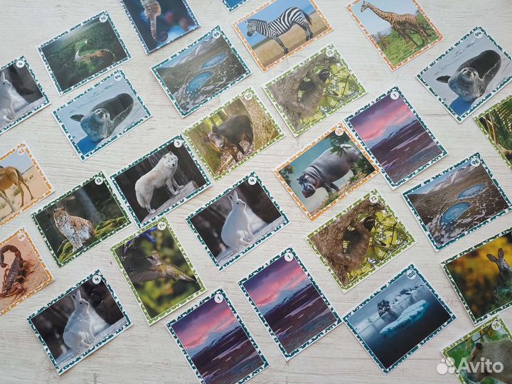 Наклейки Живая планета пуд