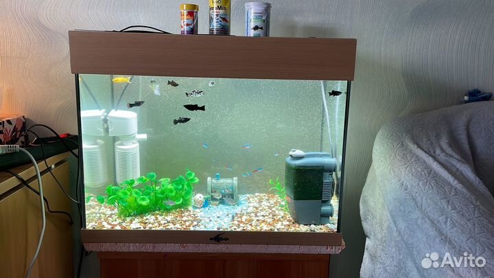 Аквариум с рыбками