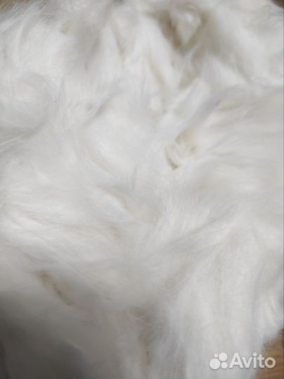 Кошачья шерсть продаю