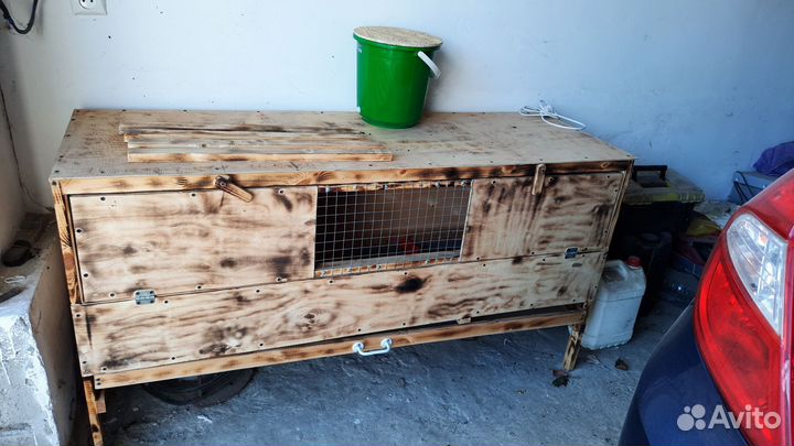 Брудер для цыплят