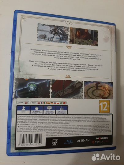 Игра PS4 Pillars of Eternity II