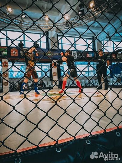 Тренер по единоборствам