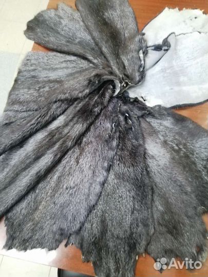 Шкуры нутрии