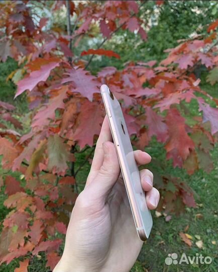 iPhone 8 Plus, 64 ГБ