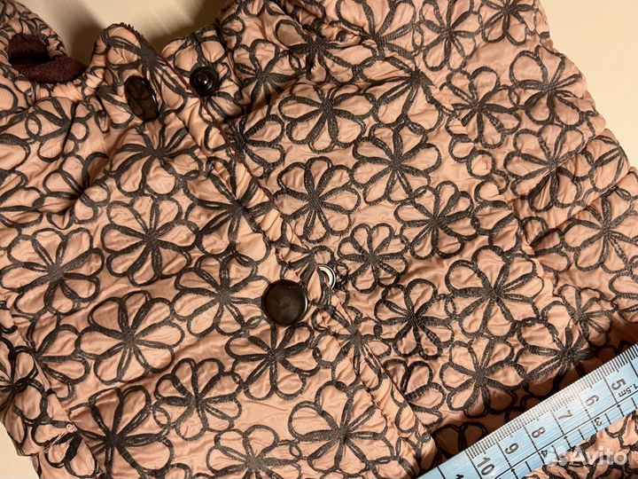 Одежда для собаки джек рассел