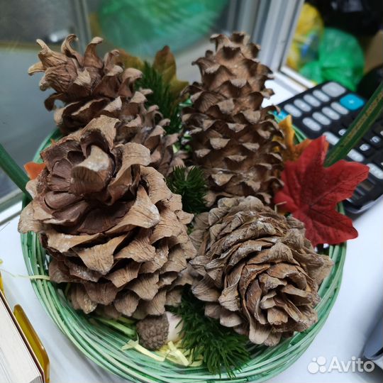 Кедровые шишки с орехами