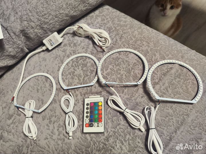 Ангельские глазки Chaser 100