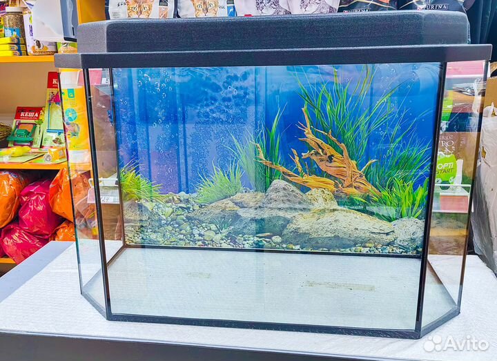 Аквариум 100 литров с крышкой