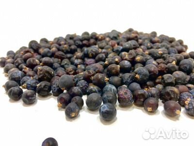 Ягоды можжевельника