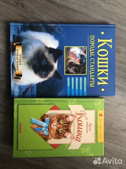 Книги о кошках