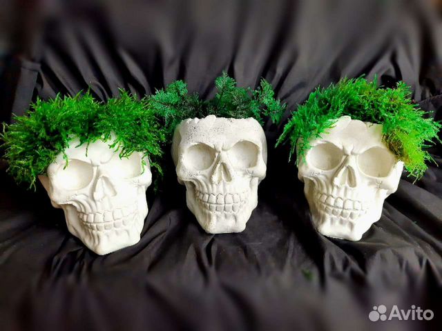 Череп кашпо