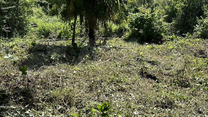 Участок 4,1 сот. (СНТ, ДНП)