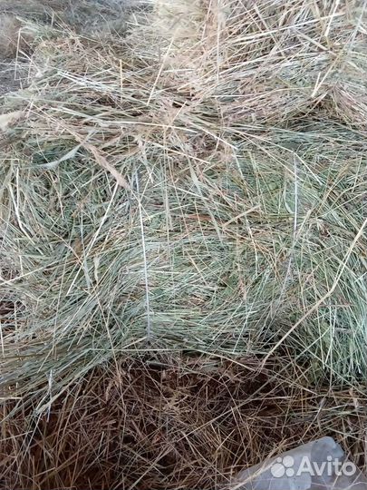 Сено луговое, солома в тюках