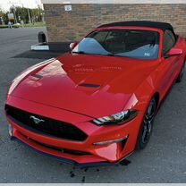 Ford Mustang 2.3 AT, 2019, 35 860 км, с пробегом, цена 3 149 000 руб.