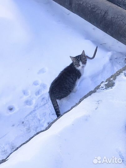 Малышка слепнет