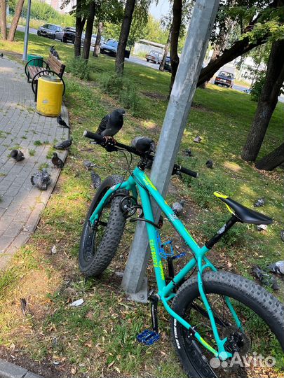 Велосипед фэтбайк Silverback scoop fatty 2017