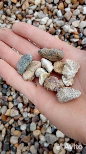 Щебень с доставкой любых фракций