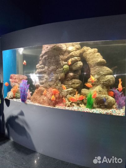 Изготовление аквариумов, террариумов