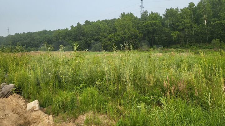 Участок 100 сот. (ИЖС)