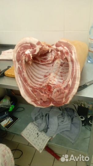 Приму заказ на свинину : туши, полу-туши