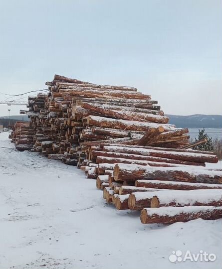 Лес-кругляк лиственница 14-24*6