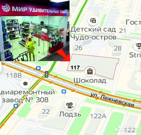 Картина по номерам - Белочка