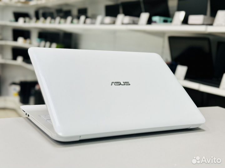Asus 15.6