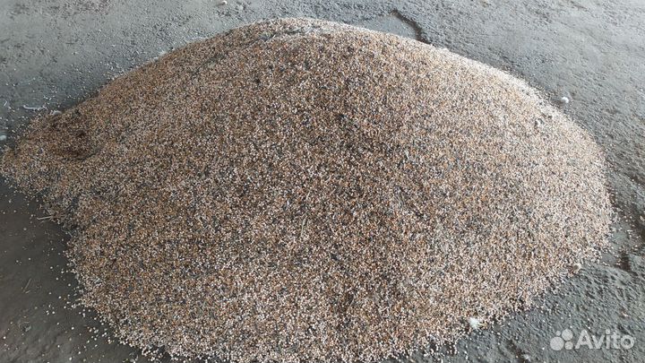 Горох кормовой