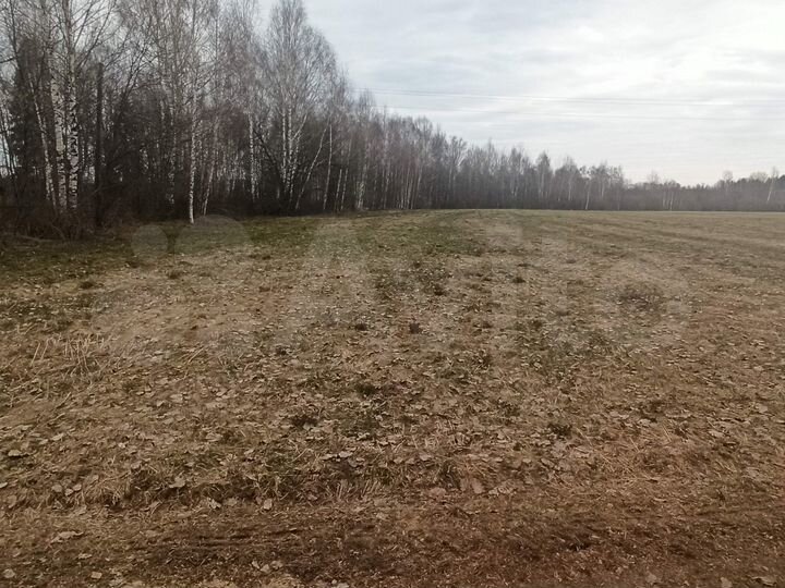 Участок 40 сот. (ИЖС)