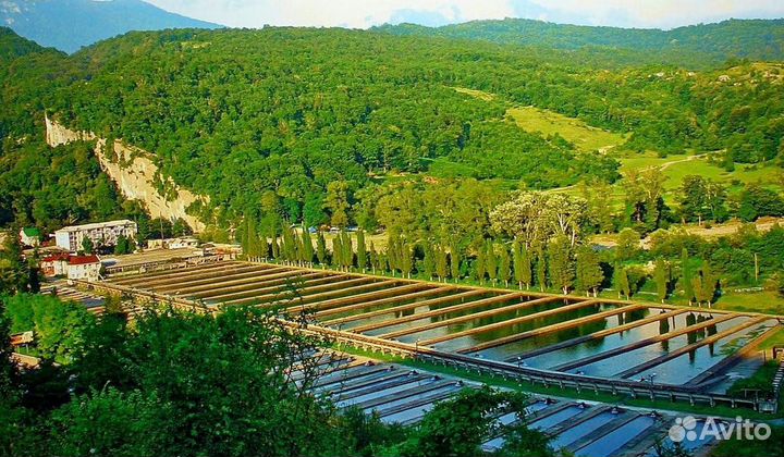 Kонная прoгулка к Axштырской пещeрe (Краcнaя пoлян