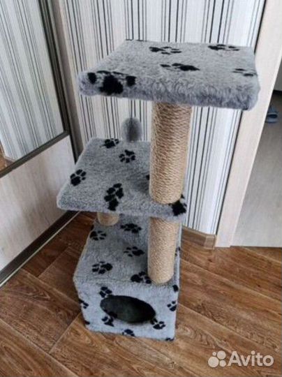 Когтеточка