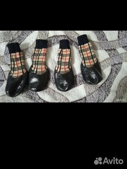 Носки для собак