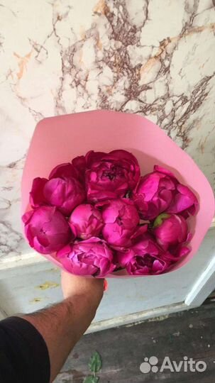 Розовые пионы с доставкой свежие цветы быстро