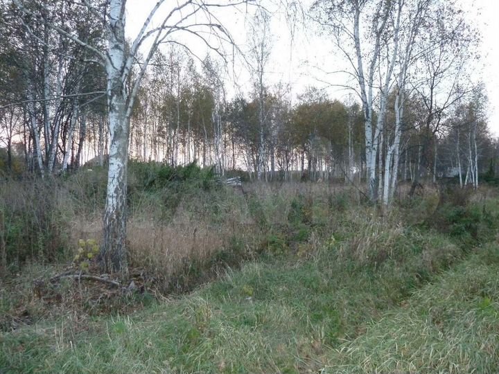 Участок 12 сот. (СНТ, ДНП)