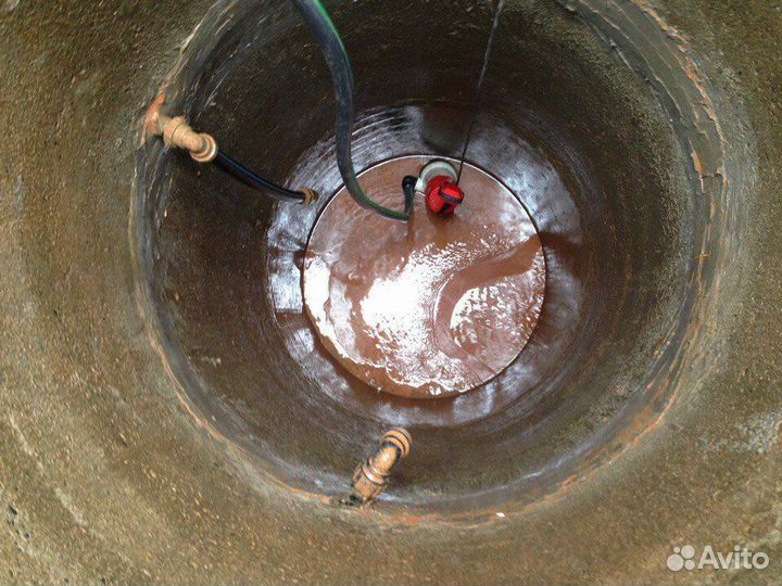 Сад благоустройство