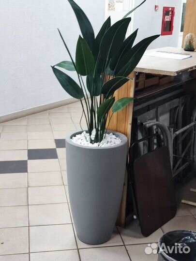 Искусственный фикус