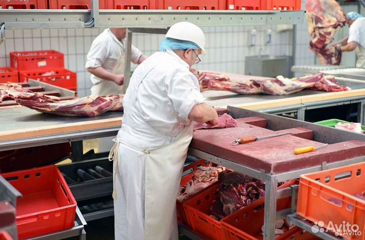 Займ в мясокомбинат, прибыль 17780 в месяц