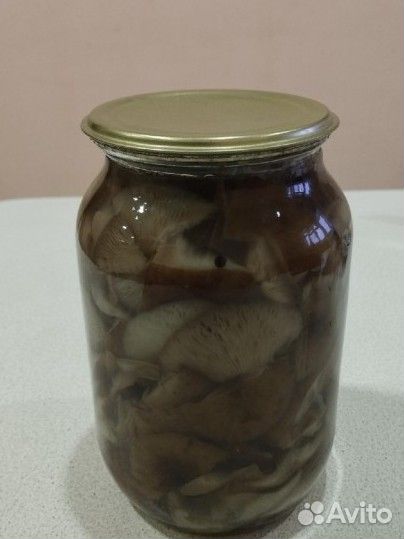 Грибы опята маринованные