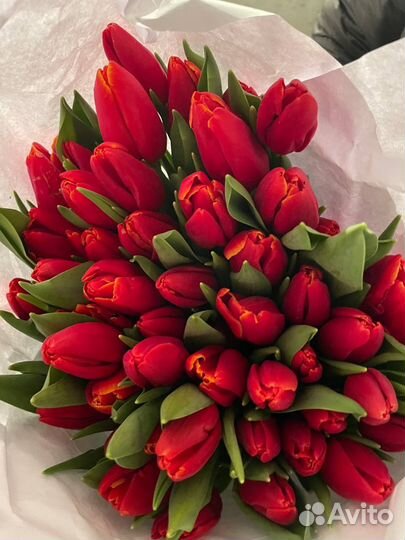 Тюльпаны к 8 марта