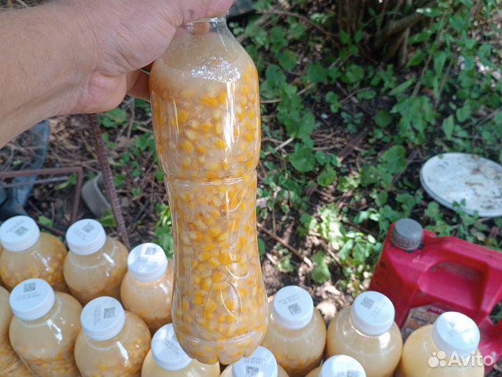 Кукуруза ферментированная (пьяная)