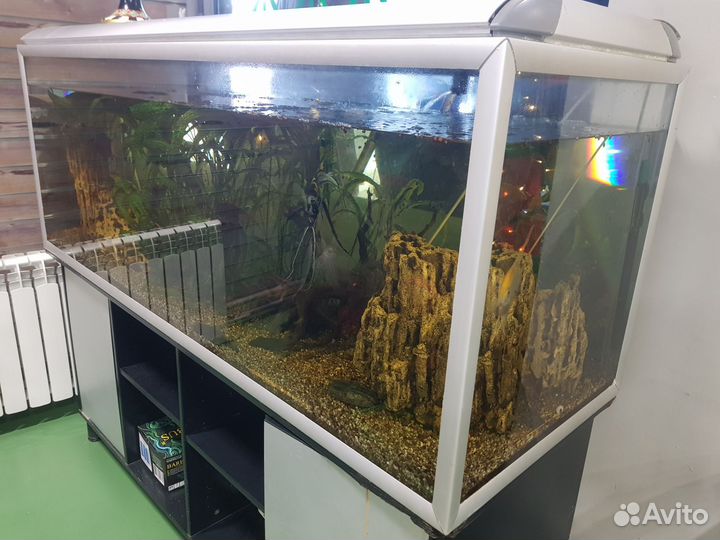 Аквариум