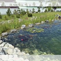Очистка прудов озер и водоемов спецтехникой, Красногорск