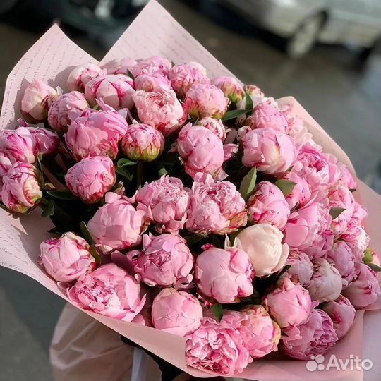 Пионы букет из пионов