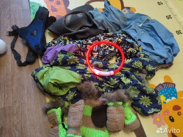 Одежда для средних собак